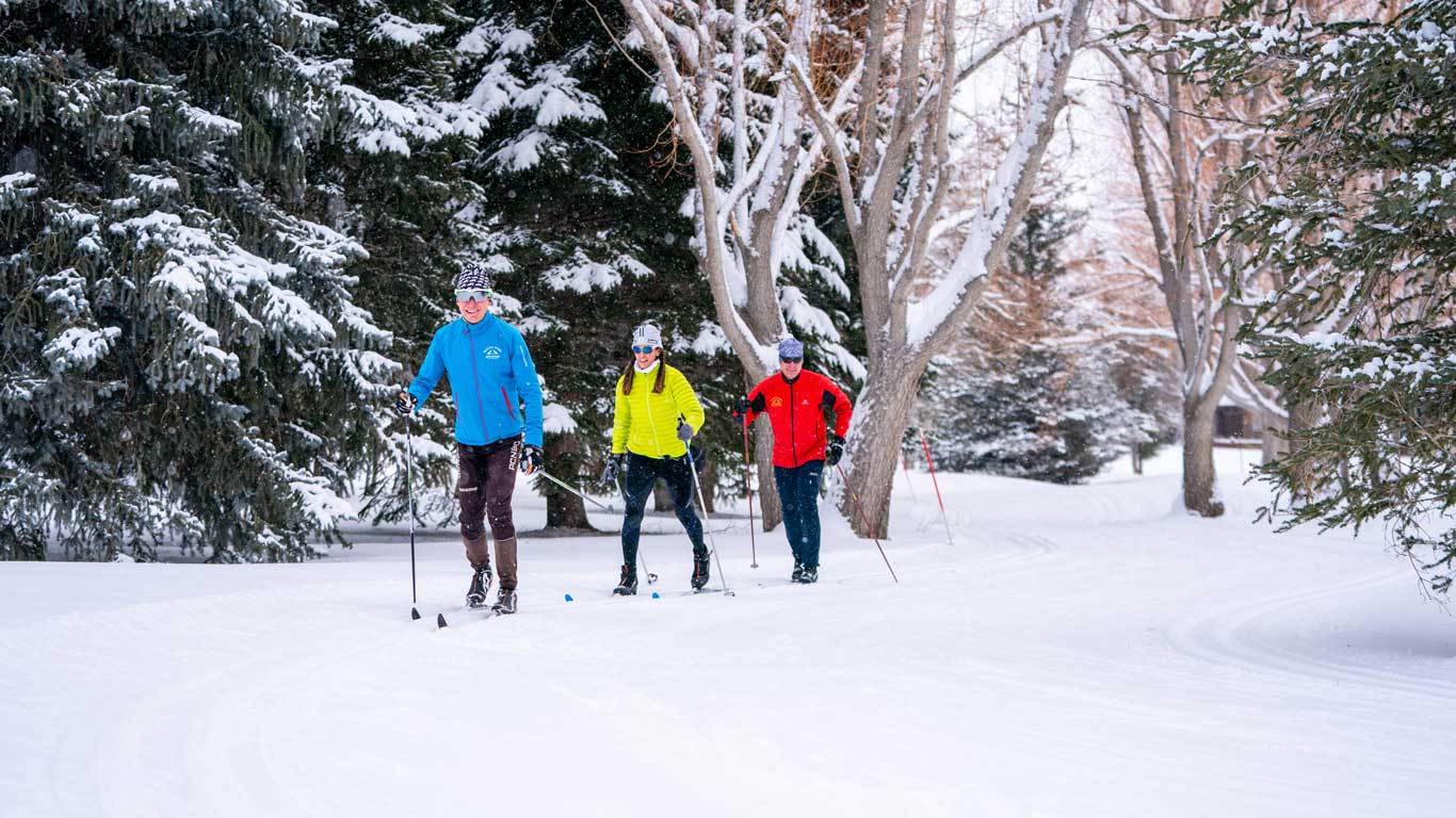 Nordic skiers enjoying cross country skiing on the White Pine Touring Nordic Center track in Park City, UT