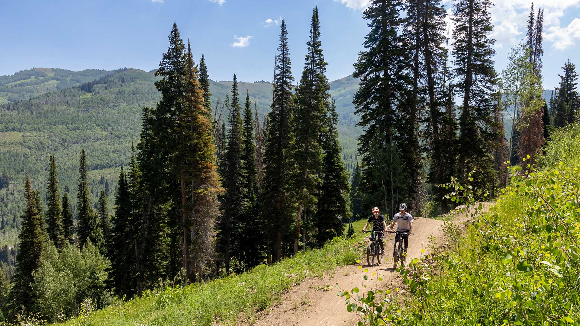 White Pine Guides riding mountain bikes on a trail in Park City, UT.