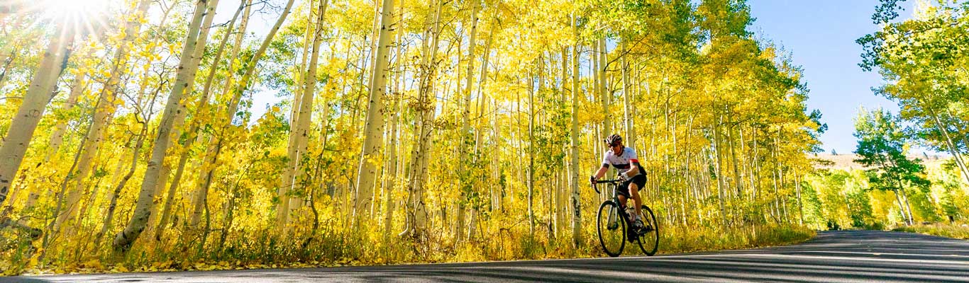 Epic Road Biking Tours from White Pine Touring in Park City, UT