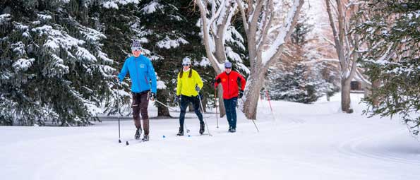 Three Nordic skiers cross country ski through a snowy wooded area