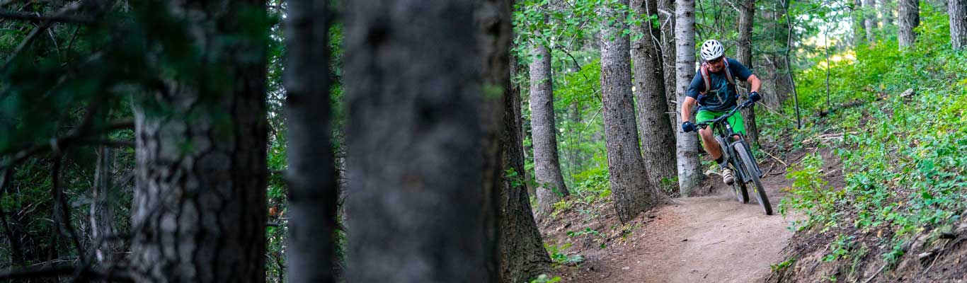 A mountain bikers rides a trail through dark woods in Park City, UT