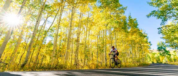 A road cyclist rides past glowing green and yellow aspen trees in Park City, UT