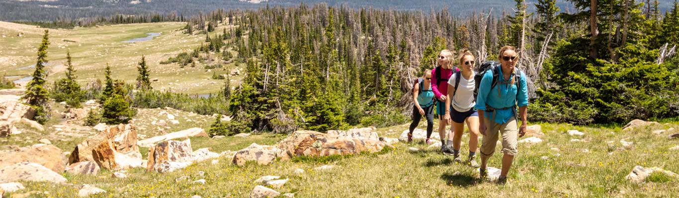 Guided Wilderness Hiking Tours from White Pine Touring in Park City, UT